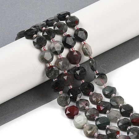 Natural Afican Bloodstone Beads Strands G-C116-A32-01-1