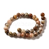 Natural Crazy Agate Round Bead Strands G-M272-03-6mm-4