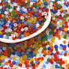 8/0 Glass Seed Beads SEED-A008-3mm-1