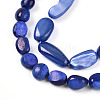 Natural White Shell Beads Strands SHEL-N036-21B-3