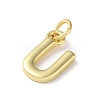 Rack Plating Brass Charms KK-P245-06G-U-2