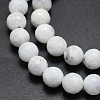 Natural Rainbow Moonstone Beads Strands G-K310-A10-8mm-3