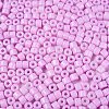 Opaque Baking Paint Glass Seed Beads SEED-T008-02S-3