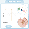 150Pcs 304 Stainless Steel Ball Head Pins STAS-UN0058-93C-G-3