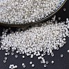 MIYUKI Delica Beads SEED-MY11-DB0221-1