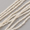 Natural Cultured Freshwater Pearl Beads Strands PEAR-G007-43-01-1
