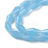 Opaque Glass Beads Strands GLAA-P001-03B-06-3