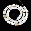 Natural Freshwater Shell Beads Strands SHEL-Q024-013-2