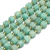 Natural Amazonite Beads Strands G-I376-D22-01-1