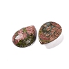 Natural Mixed Stone Cabochons G-B085-03B-3