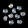 Electroplate Glass Beads EGLA-Z005-FR01-2
