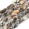 Raw Rough Natural African Black Opal Beads Strands G-M453-C05-2