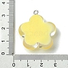 Translucent Resin Pendants X-RESI-P039-01P-4