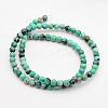 Natural Variscite Bead Strands G-P300-07-5mm-2