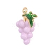 Fruit Alloy Enamel Pendants LS-ENAM-P264-02G-G04-2