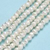 Natural Cultured Freshwater Pearl Beads Strands PEAR-F018-04D-01-2