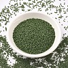 MIYUKI Delica Beads SEED-X0054-DB1585-2
