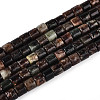 Natural Biotite Beads Strands G-T141-88B-4