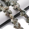 Natural Sesame Jasper Beads Strands G-F783-G05-01-2