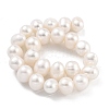 Natural Cultured Freshwater Pearl Beads Strands PEAR-C003-16C-3