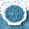 6/0 Transparent Inside Colours Glass Seed Beads SEED-N006-003D-2