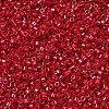 MIYUKI Delica Beads SEED-MY11-DB0214-1