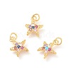 Brass Micro Pave Cubic Zirconia Charms ZIRC-F106-06G-1