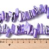Dyed Natural Trochus Shell Beads Strands SSHEL-C013-09N-4