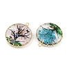Brass Glass Pendants GL-CBA591C-02G-2