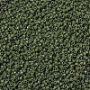 MIYUKI Delica Beads SEED-MY11-DB1135-3