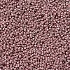 MIYUKI Delica Beads LS-SEED-J020-DB1166-3