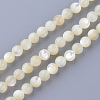 Natural Sea Shell Beads Strands X-SSHEL-S252-03-1