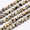 Natural Dalmation Jasper Beads Strands X-G-G545-11-1