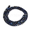 Natural Lapis Lazuli Beads Strands G-F838-A03-4mm-5
