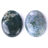 Natural Indian Agate Cabochons PW-WG8E62B-01-3