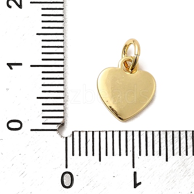 Brass Enamel Charms KK-A268-13G-01-1