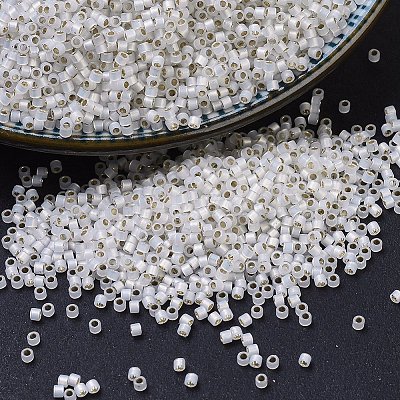 MIYUKI Delica Beads SEED-MY11-DB0221-1