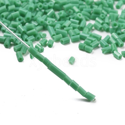 Two Cut Glass Seed Beads CSDB47-1
