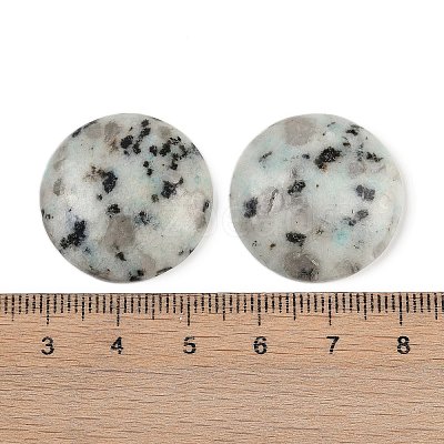 Natural Sesame Jasper Cabochons G-H1596-FR-25mm-14-1