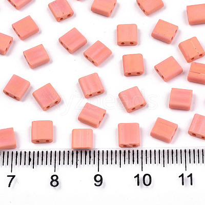 FGB 2-Hole Glass Seed Beads SEED-S031-L-ST50FR-1