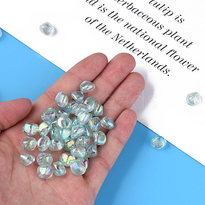 Transparent Acrylic Beads MACR-S373-131-C07-1