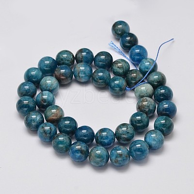 Natural Apatite Round Bead Strands G-M304-14-10mm-1