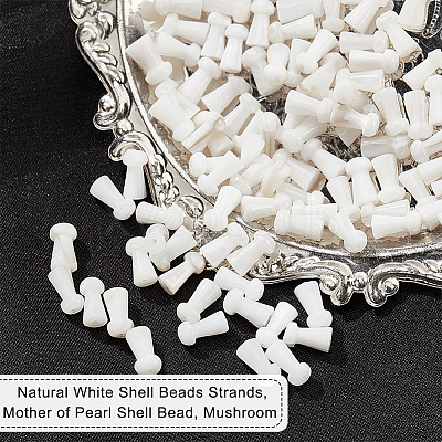 4 Strands Natural Freshwater Shell Beads Strands SHEL-NB0001-52-1