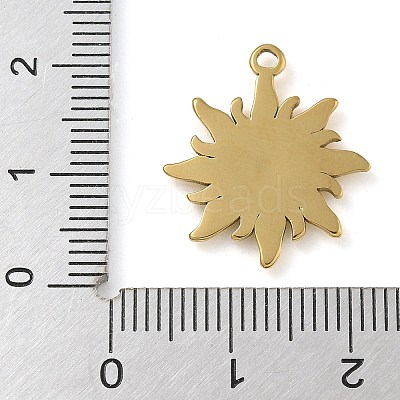 Ion Plating(IP) 304 Stainless Steel Pendants X-STAS-B075-30G-02-1