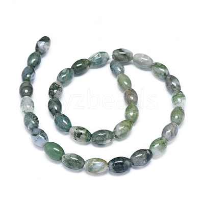 Natural Moss Agate Beads Strands G-D0005-10-1