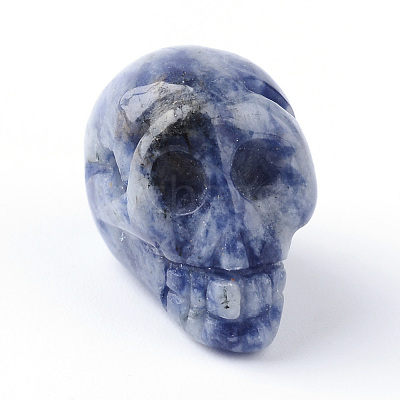 Natural Blue Spot Beads G-R398-11-1