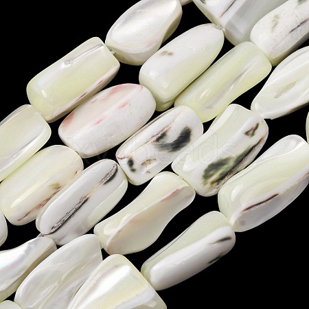 Natural Trochid Shell/Trochus Shell Beads Strands SH-CBA2978-20B-1
