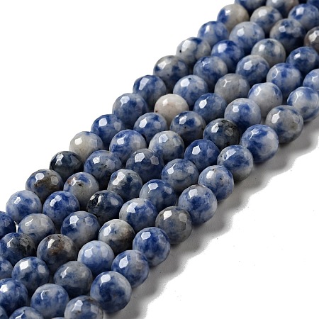 Natural Blue Spot Jasper Beads Strands G-P476-01B-02-1