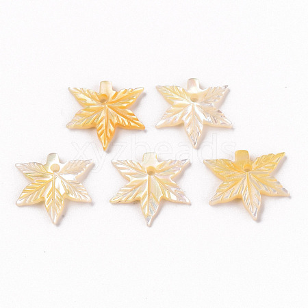 Natural Yellow Shell Charms SSHEL-R144-34-1