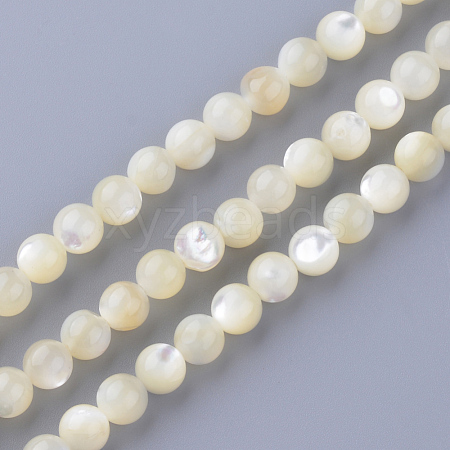 Natural Sea Shell Beads Strands X-SSHEL-S252-03-1